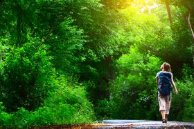 Geführte Wanderung in und um Bad Arolsen oder Mengeringhausen 