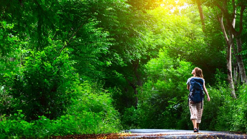 Geführte Wanderung in und um Bad Arolsen oder Mengeringhausen 