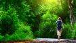 Wandern in und um Bad Arolsen