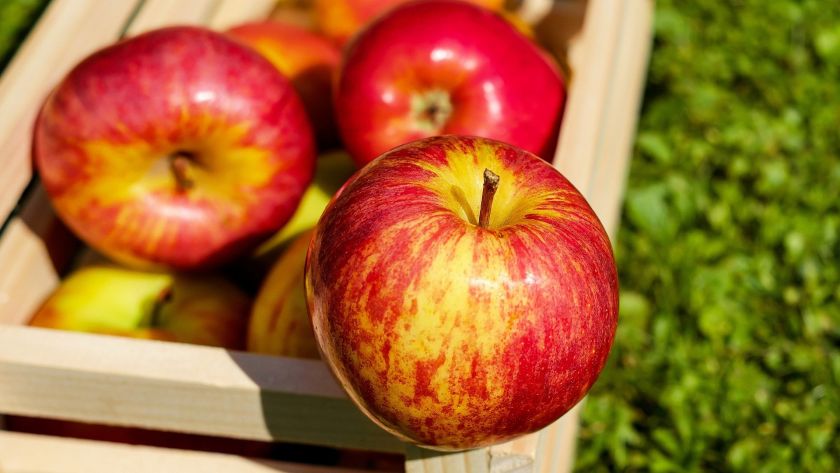 3. Landauer Herbst- und Apfelfest