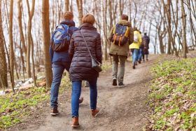 Wanderung in die Geschichte 1/2024 : „Geheimnisvolle Landschaft der Hollenkammer zwischen Volkmarsen und Lütersheim&quot;