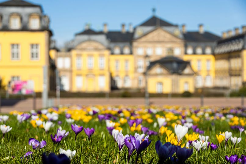 Stadt Bad Arolsen 