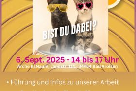 Tag der offenen Tür im Miezhaus