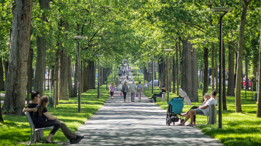 Große Allee in Bad Arolsen