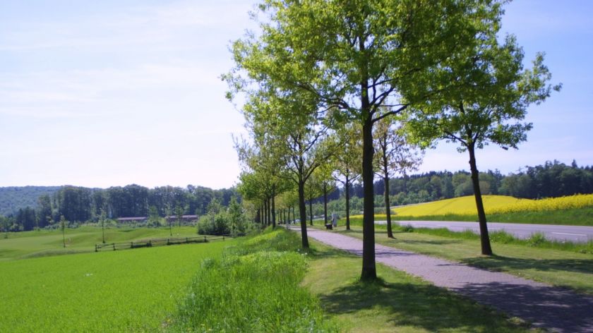 Landschaft am Golfplatz